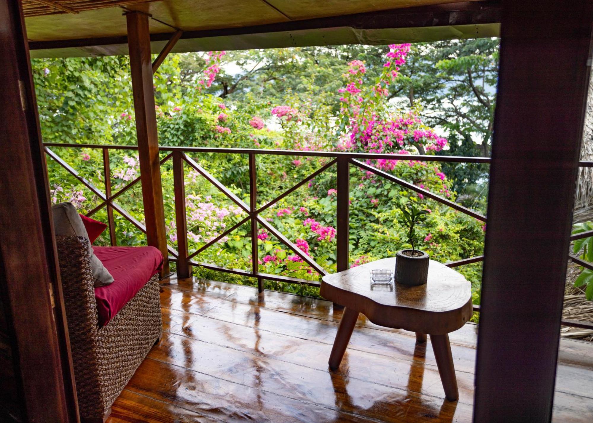 Bed and Breakfast Casa Marimba La Laguna Екстер'єр фото