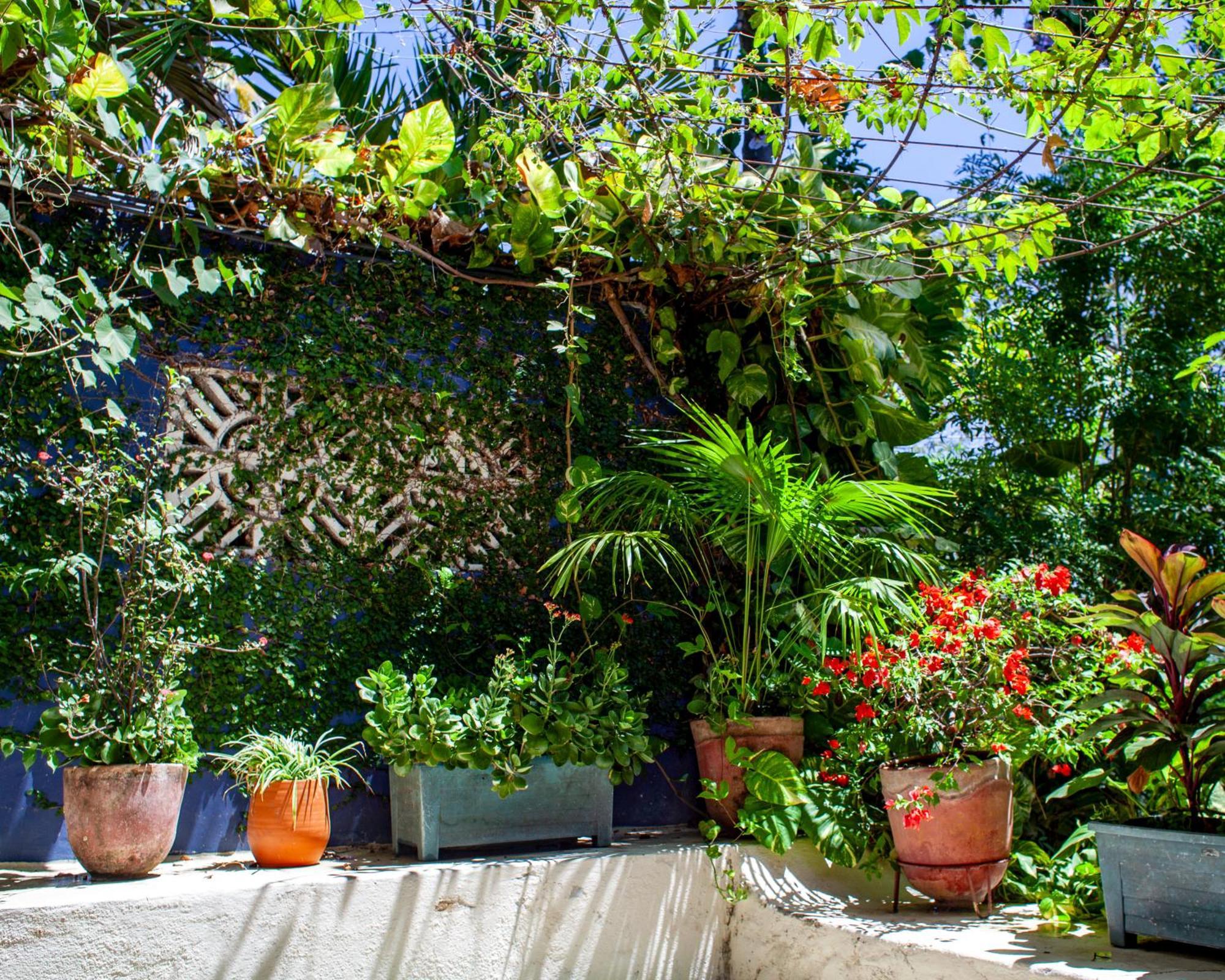 Bed and Breakfast Casa Marimba La Laguna Екстер'єр фото